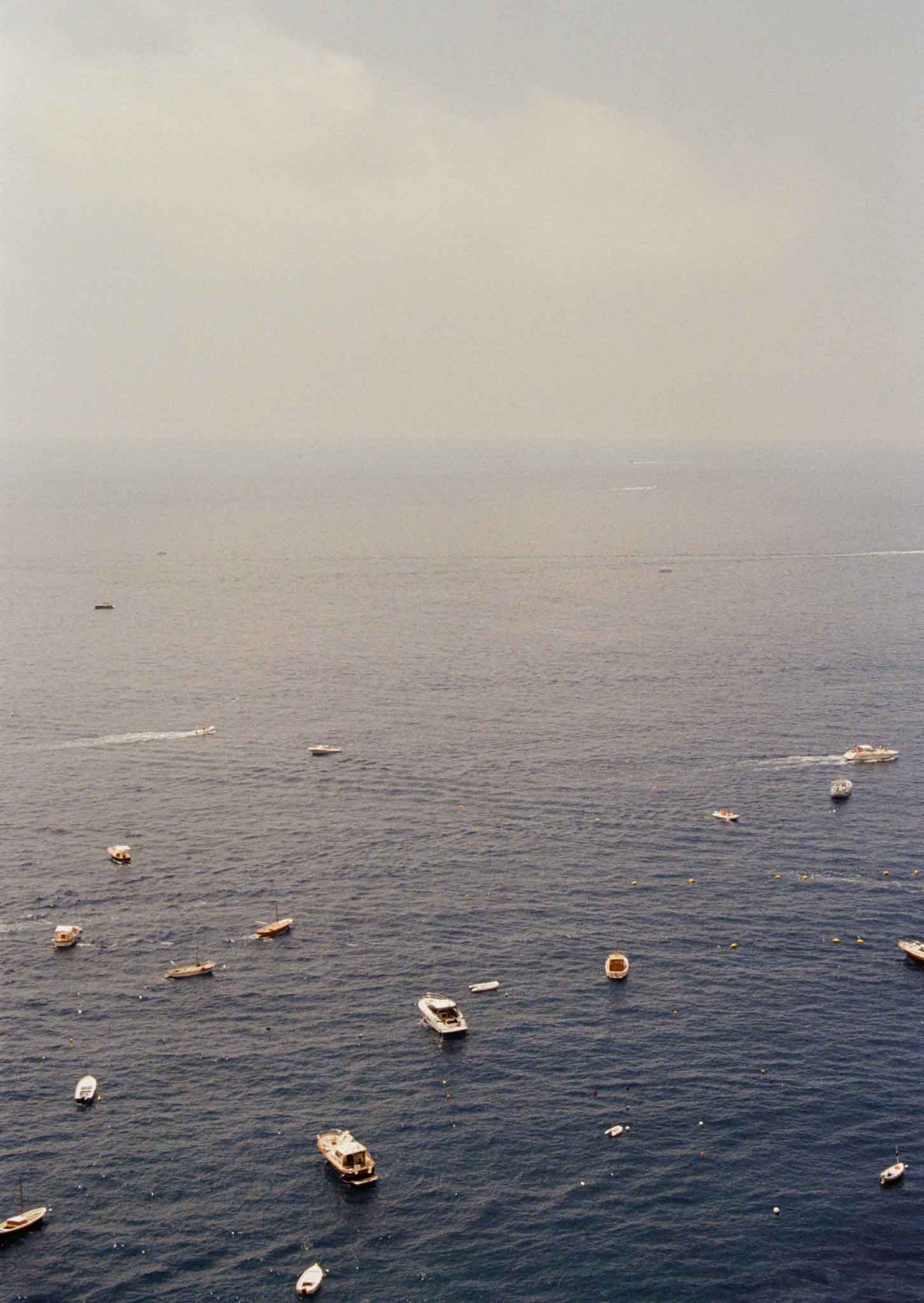Amalfi - Victoria Rose