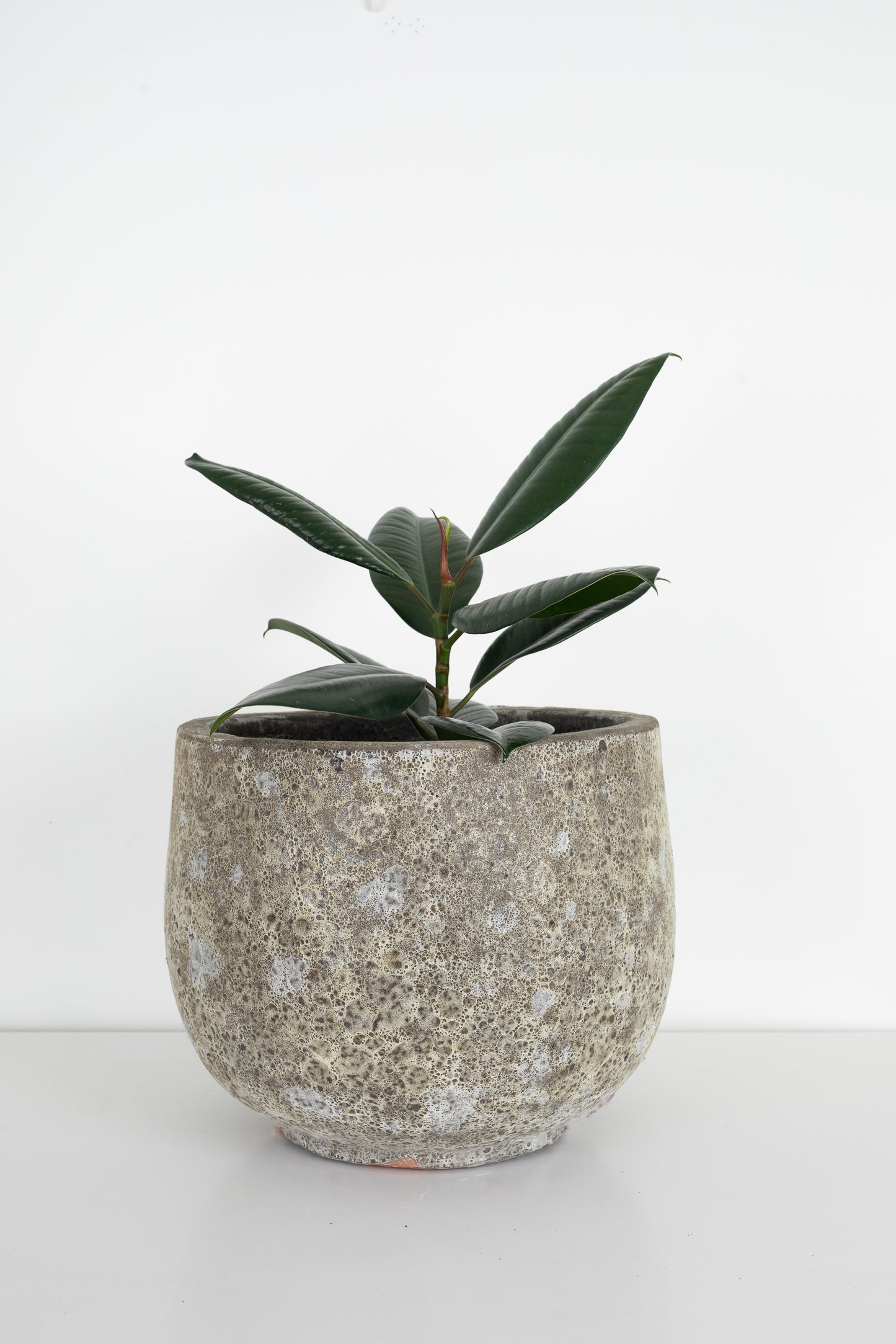 Lava Deep Bowl - Medium