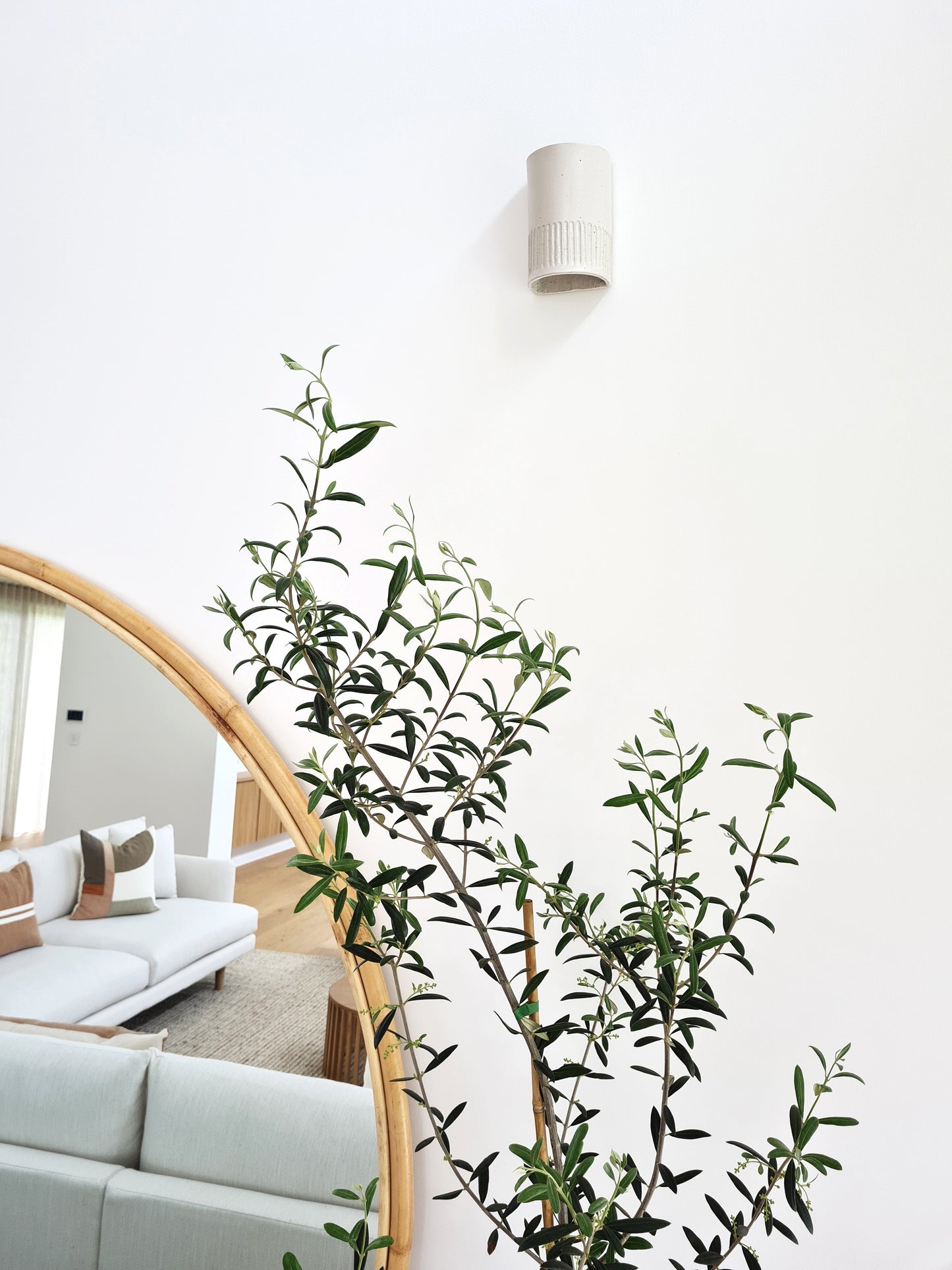 We Ponder | Day Interior | Tall or Short