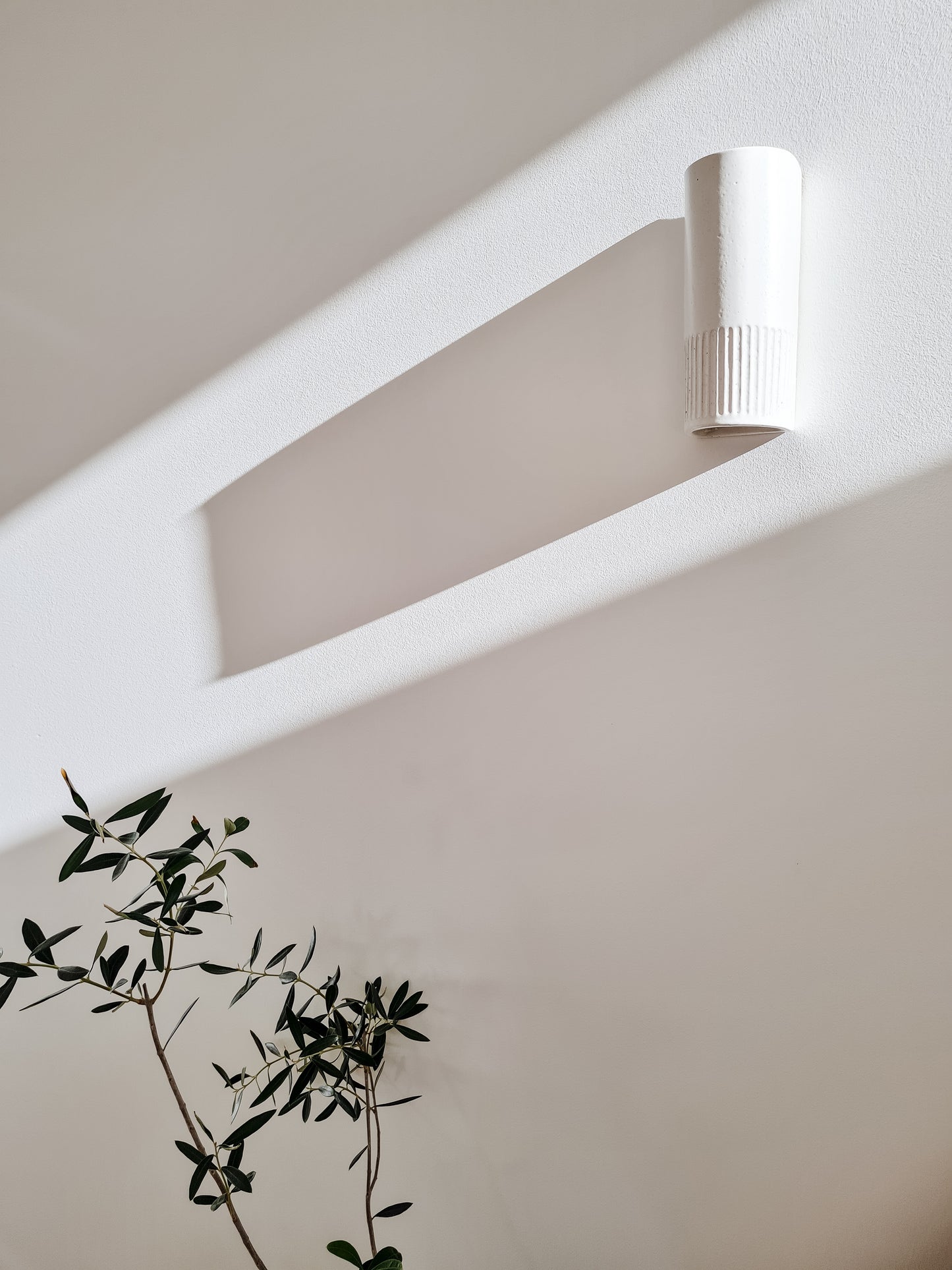 We Ponder | Day Interior | Tall or Short