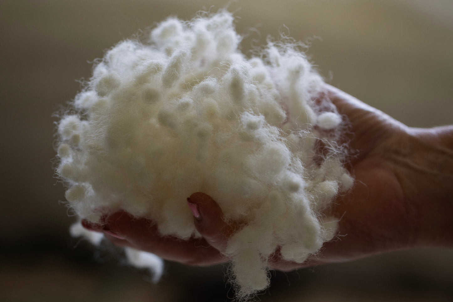 Wisewool™ Cushion Inners